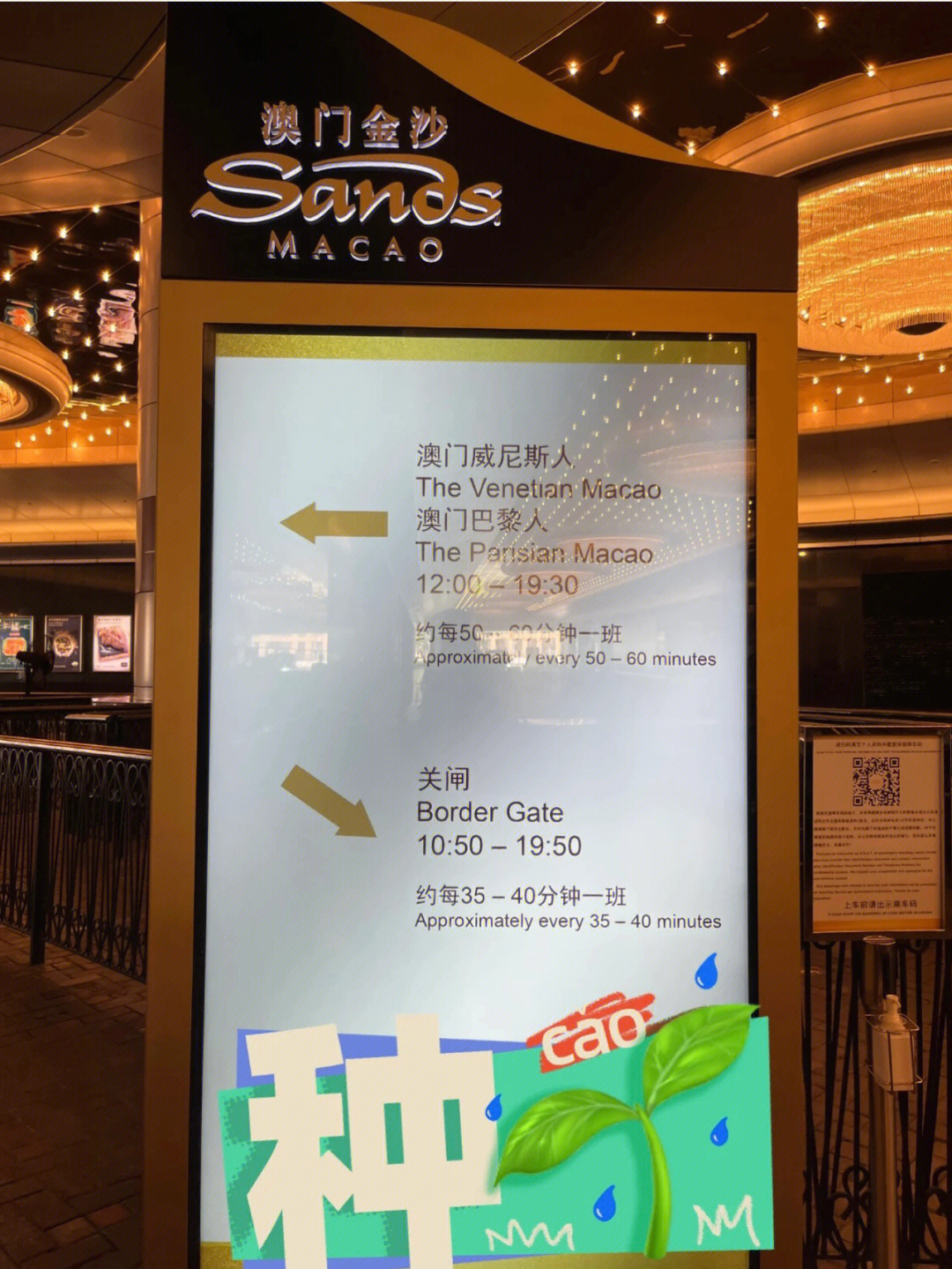 新澳门挂牌正版完挂牌记录怎么查,创新策略解析_Z96.833