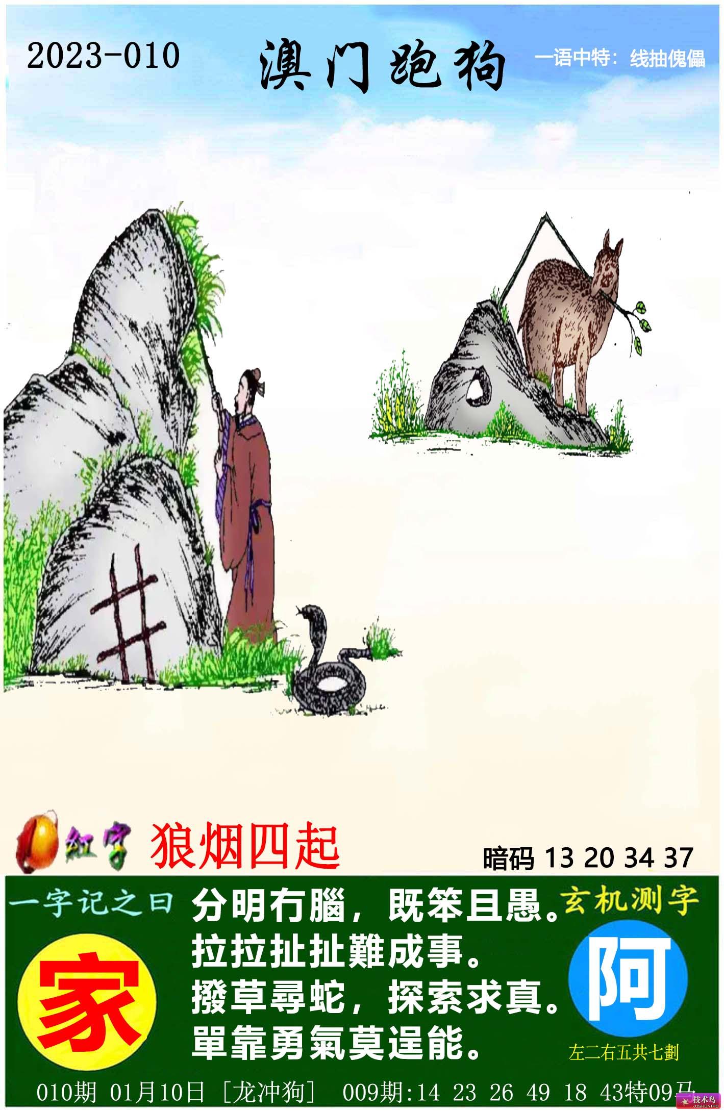 2024正版资料澳门跑狗图跑狗图,智慧解答解释落实_备份集48.318