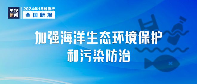 新澳门管家婆一句,稳定性的落实解析_91.113
