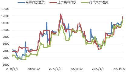 花生的价格最新走势，自信与成就感之旅的探寻与分享