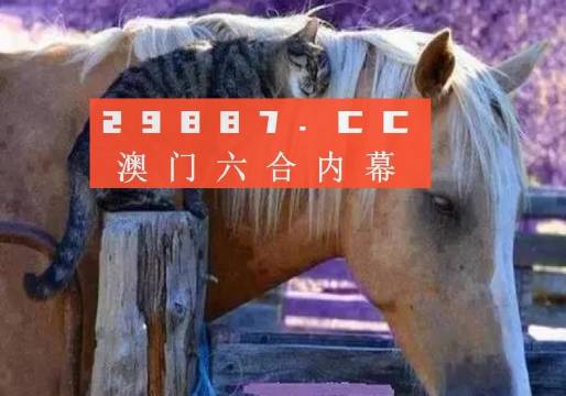 4949澳门今天开的什么码,精准实施解析_升级版17.261