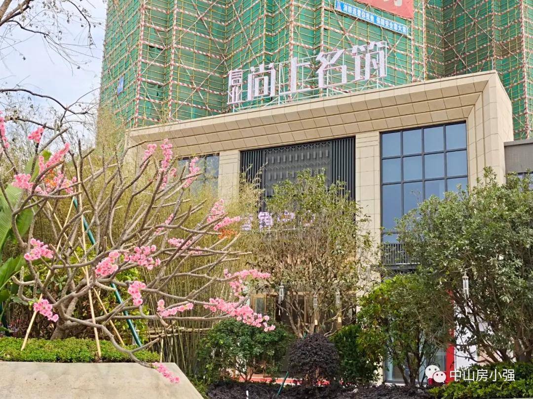 最新儿歌下载，详细步骤指南与资源推荐