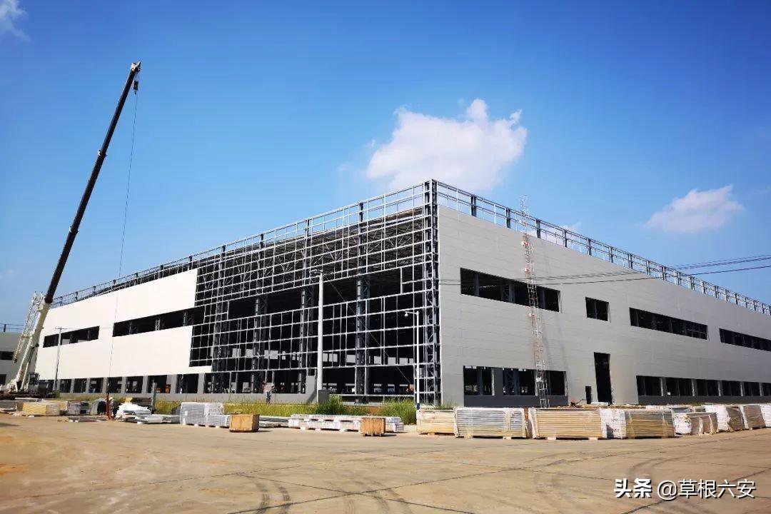 自然美景探索 第8页