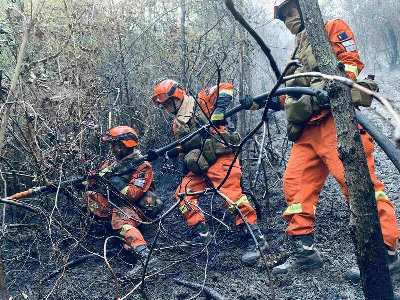 北京山火最新动态，观点论述与应对之策