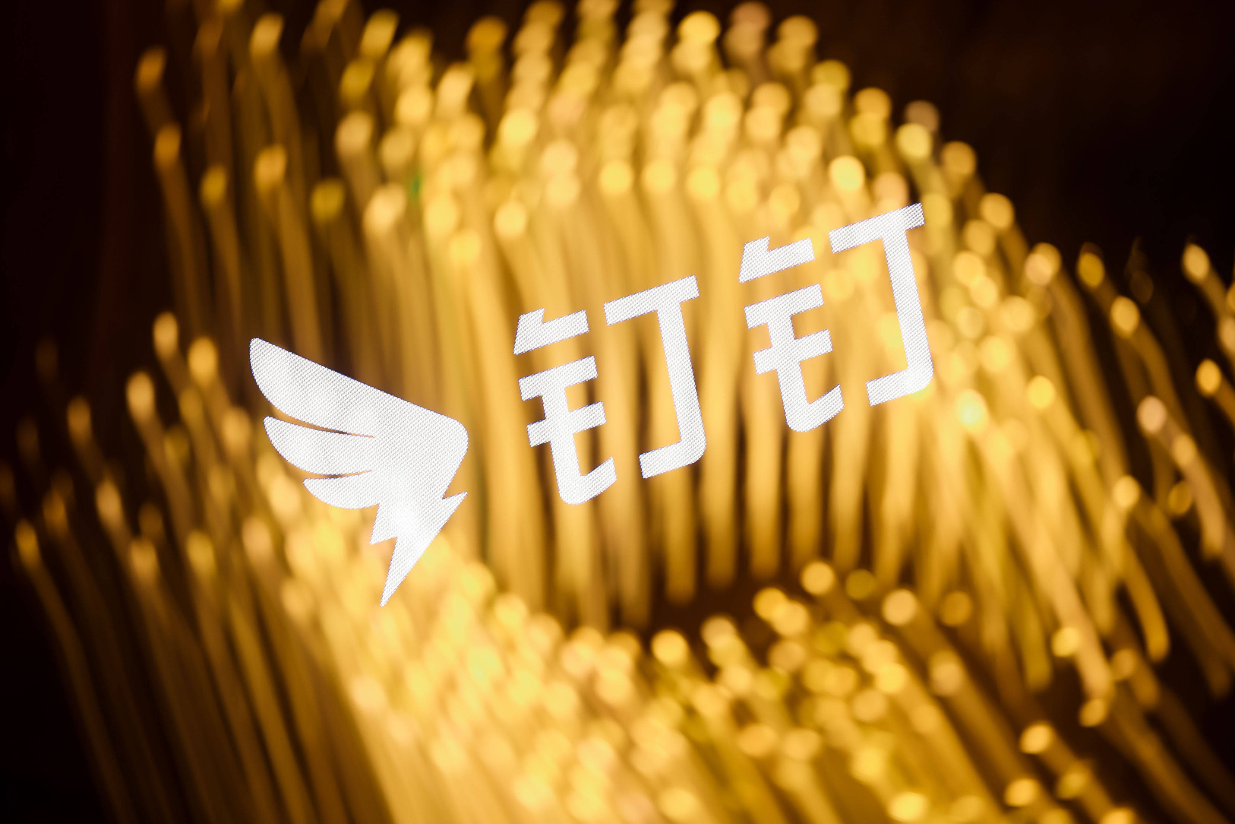 数字时代的旋律印记，钉钉之歌最新版