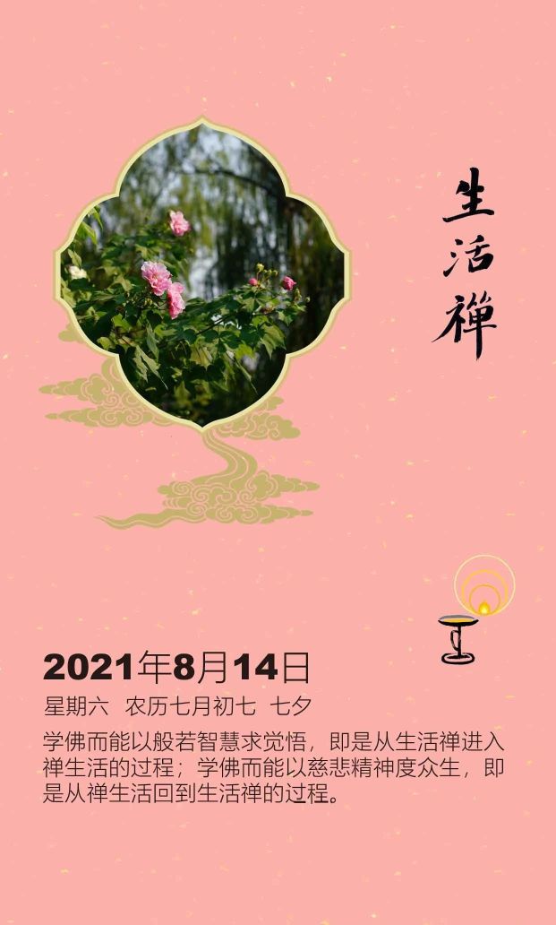 探索最新一日禅的内涵与价值