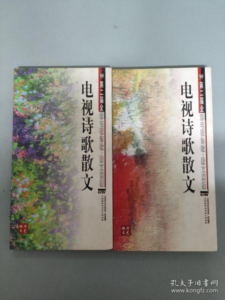 电视散文，创作与欣赏的全方位指南