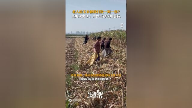 老人拾玉米被打致死事件，当地回应及调查进展