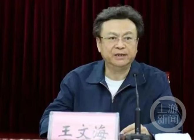 缅怀原河南省司法厅长王文海逝世，纪念步骤指南