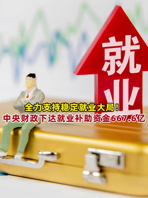 中央财政就业补助资金达667亿元，阳光下的就业故事启动