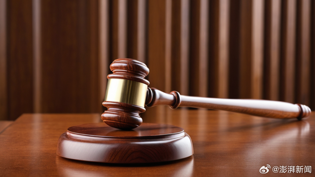 替父追债被判寻衅滋事案件再审步骤详解，再审指南与解析