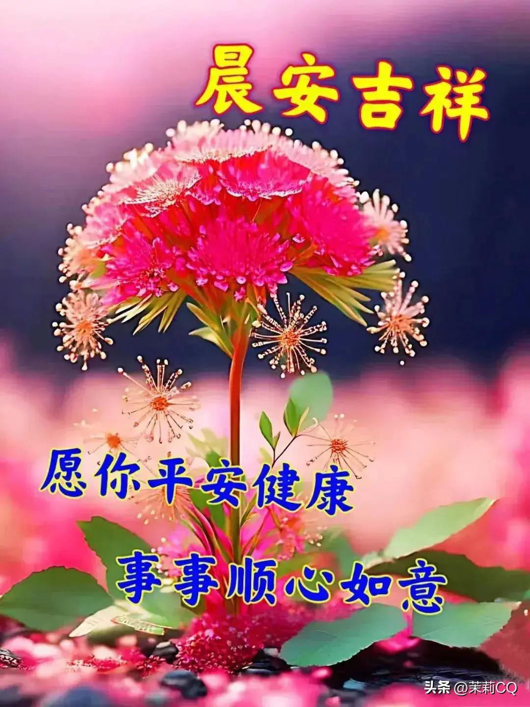 2024年天天彩资料免费大全，最新核心解答落实_ios34.48.45