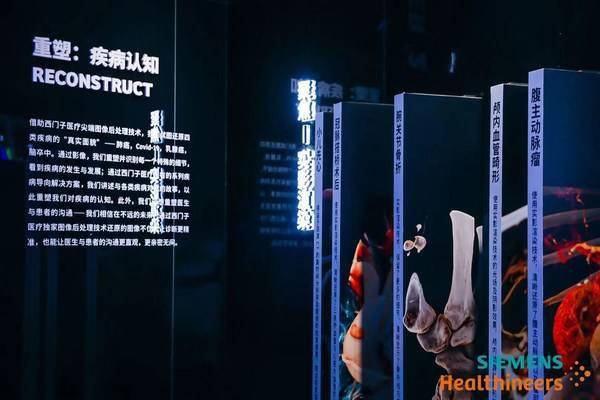 2024新奥天天资料免费大全,系统分析解答解释方案_领航品65.029