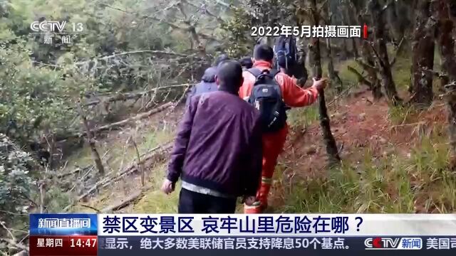 哀牢山神秘鸟鸣与科考之旅，鸟叫声如人类般婉转交流