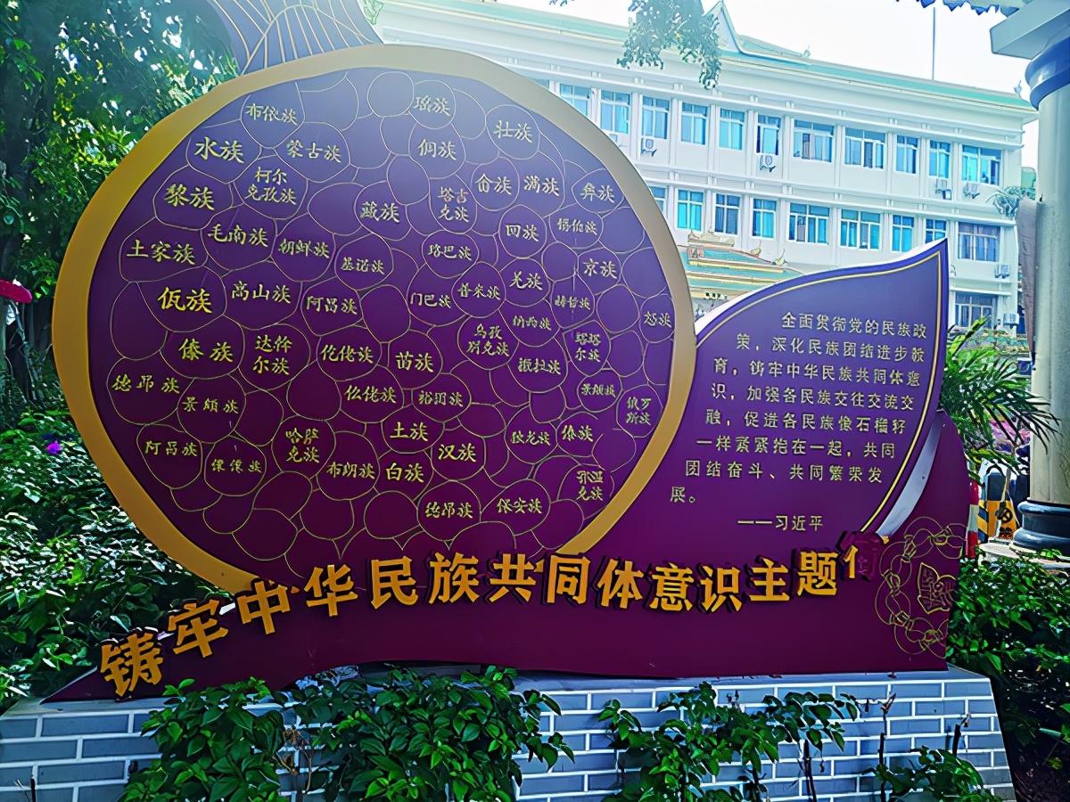 今日冬瓜价格行情揭秘，智能生活下的冬瓜市场新动态