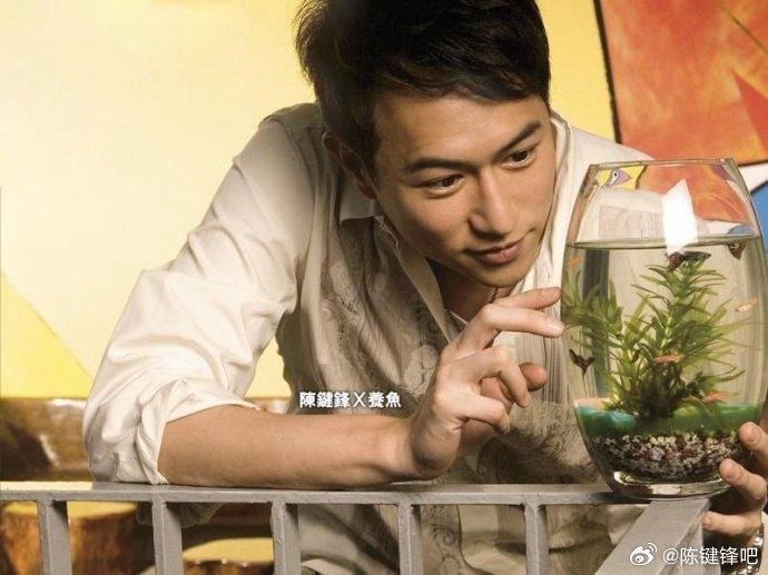 陈键锋最新消息🌟揭秘其最新动态