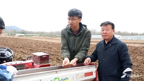 潍坊玉米价格最新动态，行情详解与获取渠道指南
