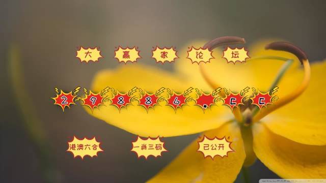 新澳门彩4949历史记录,精确剖析解答解释问题_防护集62.14