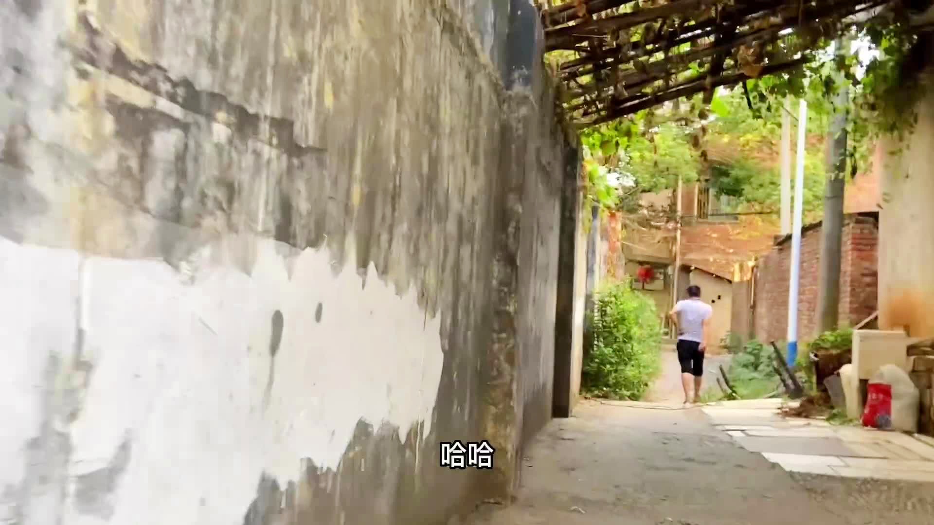 西部资源最新动态，小巷深处的独特宝藏揭秘