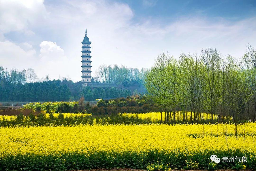 崇州最新天气预报，天气动态一目了然！