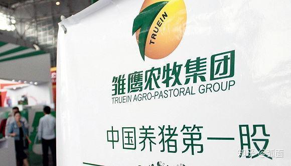 雏鹰农牧最新公告揭秘，牧场日常与友情力量的温馨展现