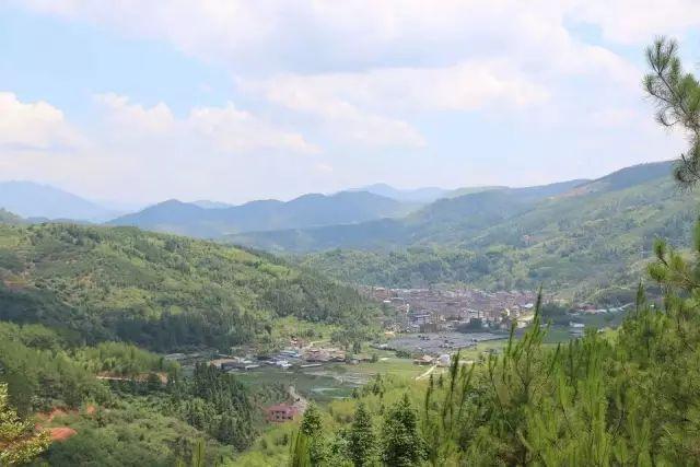 福建干部公示最新消息揭秘✨