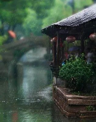 烟雨江南最新小说解析与探讨