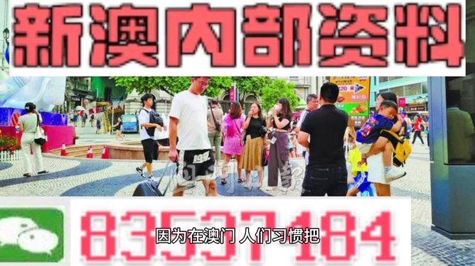 新澳2024年正版资料免费大全，创新性执行计划_优选版94.42.36