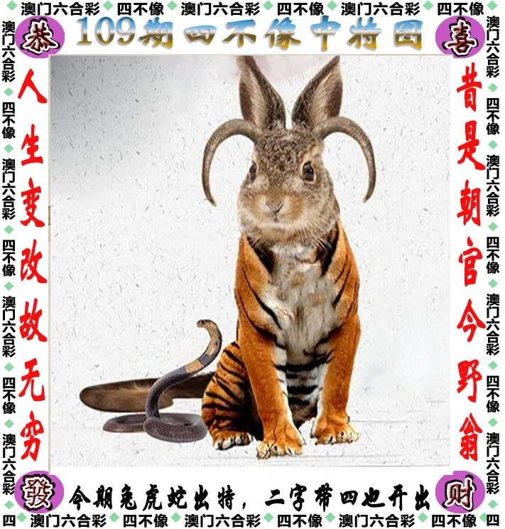 四不像今晚必中一肖,安全设计策略解析_投资版300.03