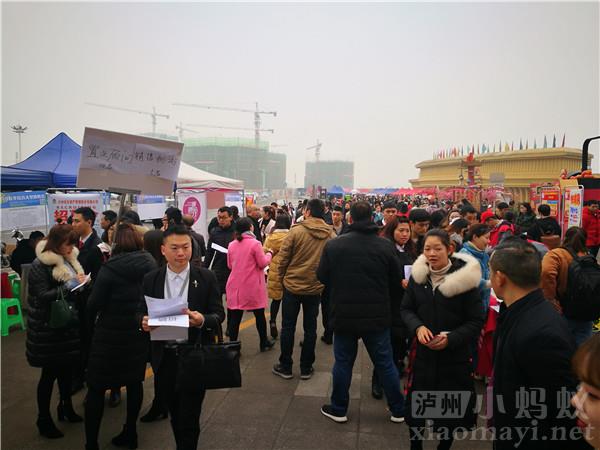 泸州小蚂蚁最新招聘，观点论述全面解析