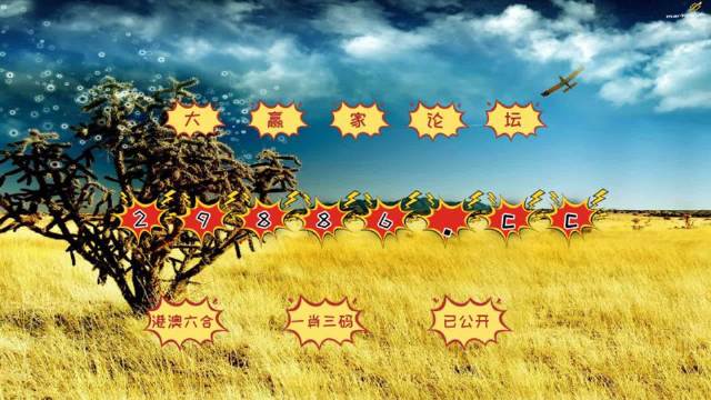 澳门4949最快开奖结果,准确资料解释_动画版934.31