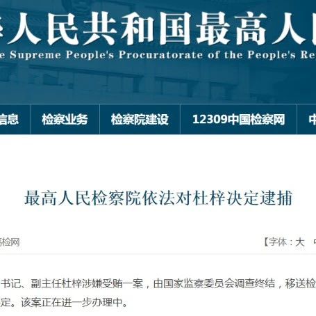 杜梓的逆风翻盘，逮捕不是终点，腾飞新起点