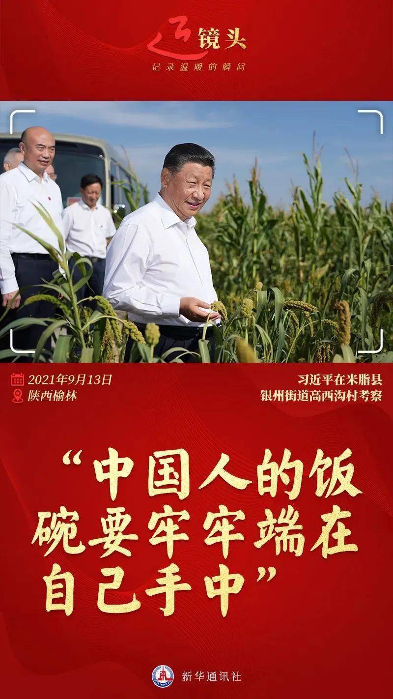 端牢中国饭碗的底气与自信