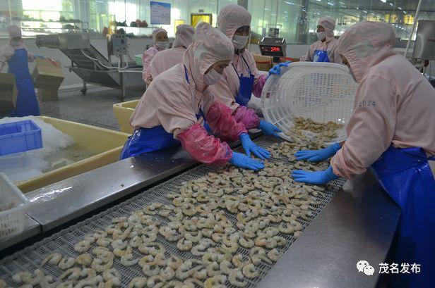 住建部回应楼市虹吸效应，把握机遇应对挑战的策略指南