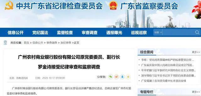 广州农商银行原副行长罗金诗被查，背景解析与应对步骤指南