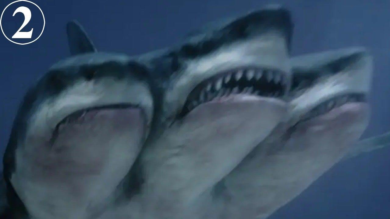 第3465页