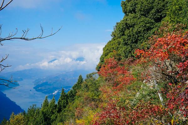 那家药店的百万医保药，心灵之旅的起点