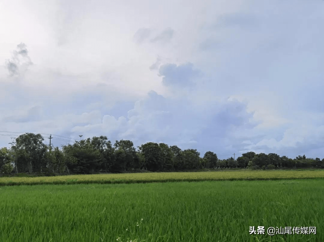 多名千万级网红重返镜头，自然美景之旅引领心灵复苏之路