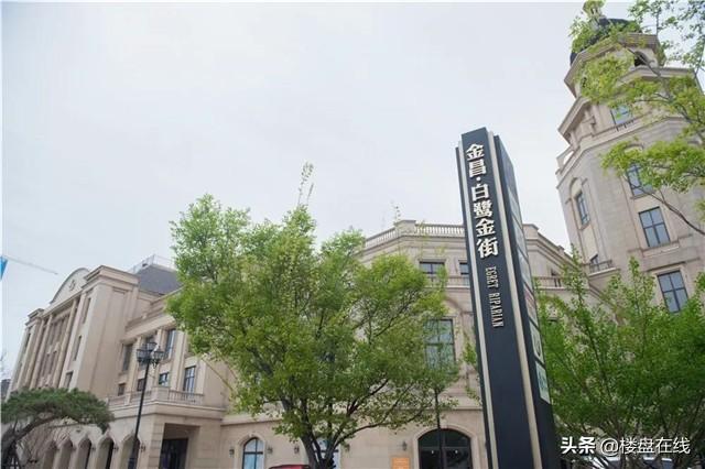 罗庄最新招聘信息，科技革新引领未来生活新潮，求职者的首选之地！