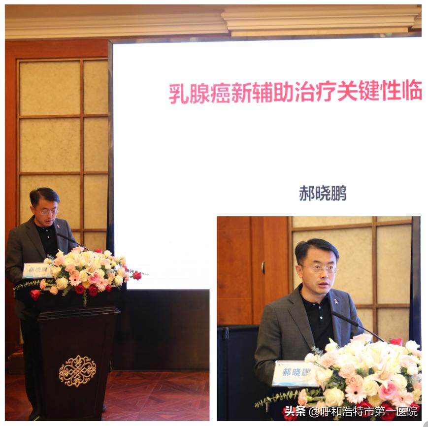 医学改革最新动态，时代进步与未来展望