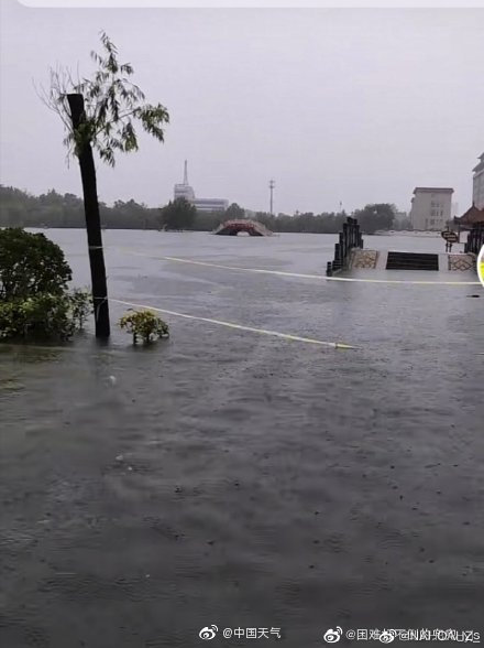 新乡暴雨最新消息更新🌧️