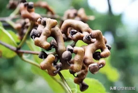 自然美景探索之旅 第8页