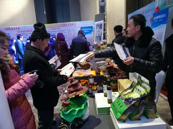白山最新招聘信息发布