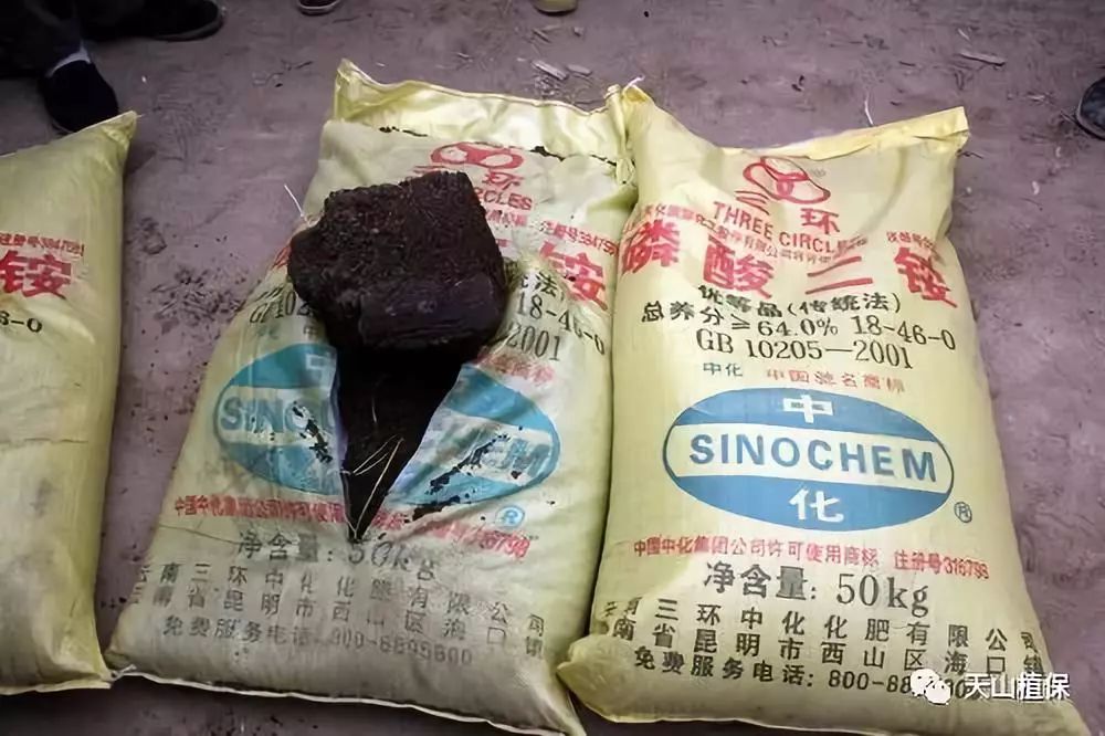 新疆尿素最新价格动态，学习变化，自信与力量的源泉
