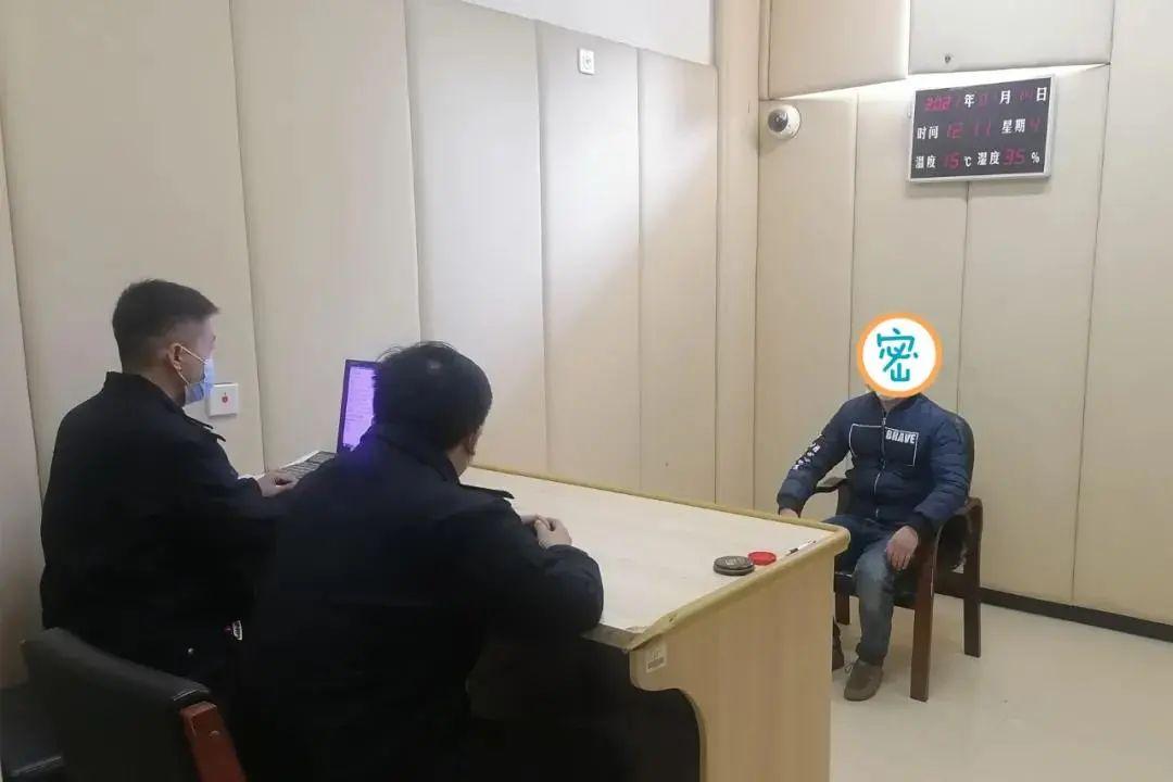古田最新新闻，友情的温馨日常与爱的陪伴