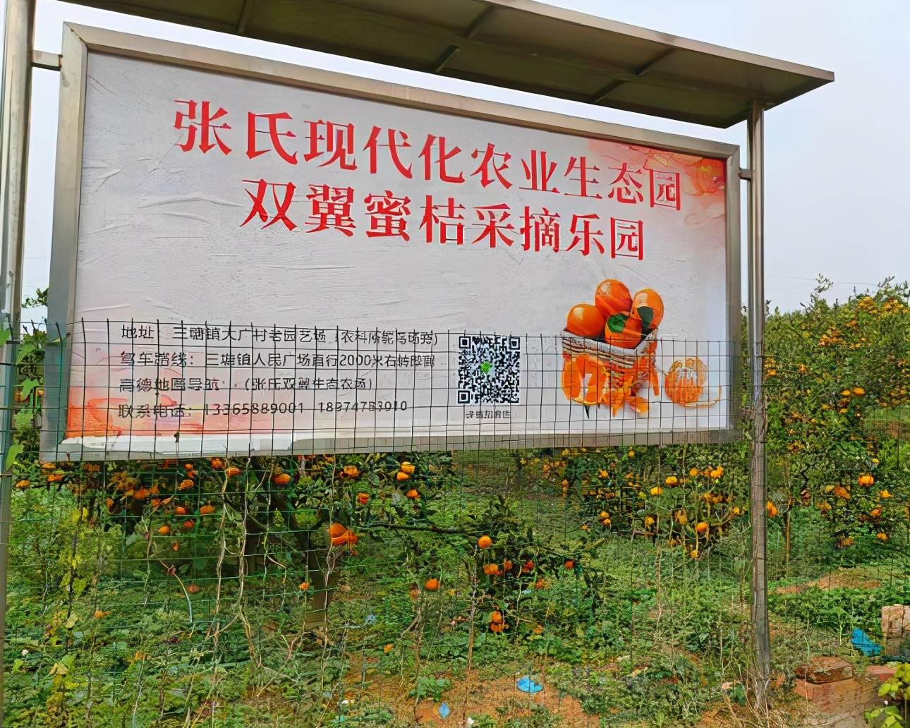 厂区标语更新，与自然的美好相遇