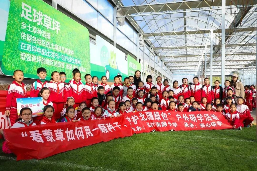 青草成长的力量，在线视频中的学习之旅与自信成就感的绽放（非涉黄内容），请注意，标题应简洁明了，避免涉及低俗或敏感内容。以上标题仅供参考，请根据实际情况进行修改和调整。