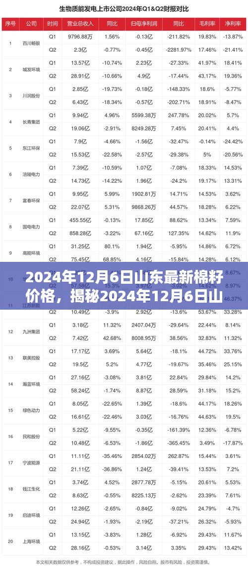 山东籽棉最新行情揭秘，小巷深处的棉花秘密与价格动态