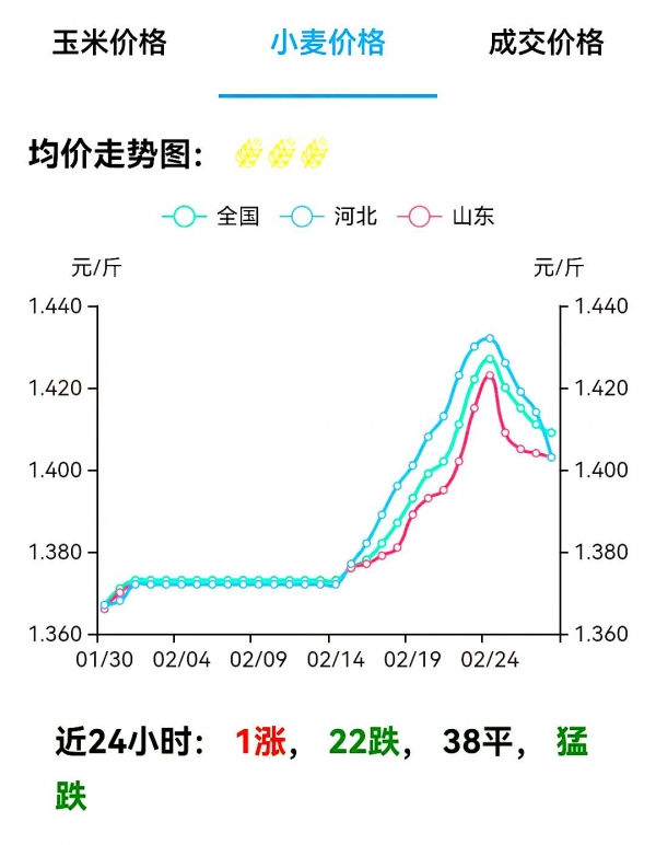 最新小麦价格行情，洞悉市场动态，掌握小麦价格走势。