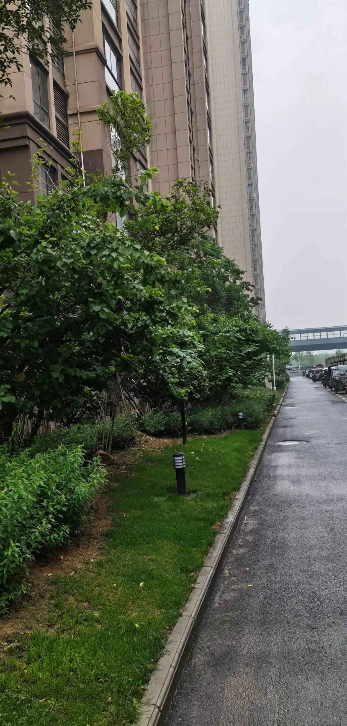 丽都名邸最新房价概览，市场走势与购房指南